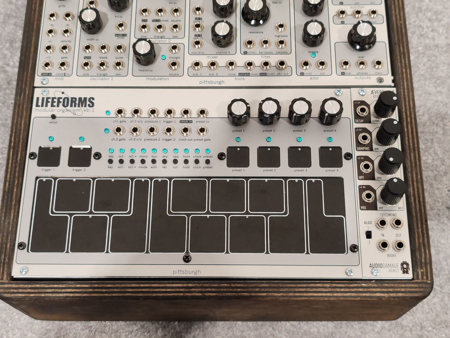 Pittsburgh Modular Lifeforms System 201 Performance Synthesizer with Audio Damage ADM21 Aeverb Mk2 Stereo Reverb