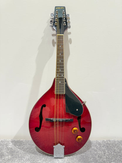 Delta Blue 8 String Mandolin (Red)- with Soft bag, new strings and mandolin chord book